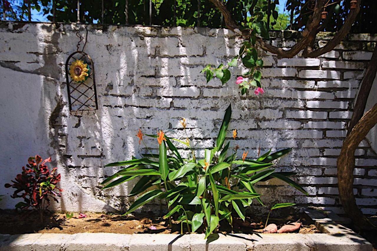 푸에르토 에스콘디도 Casita Piedra 아파트 외부 사진